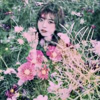 兔子加速器App用户LISA,很满意兔子加速器App